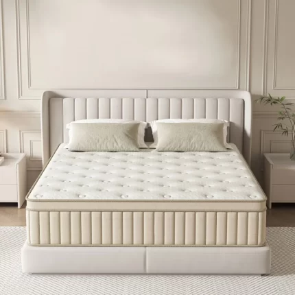 kf Sb5035e50e12a42b4ab851a7836a1ac92h