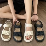 kf S57fb54b9b8be4ea49f335e98e6d3dacat